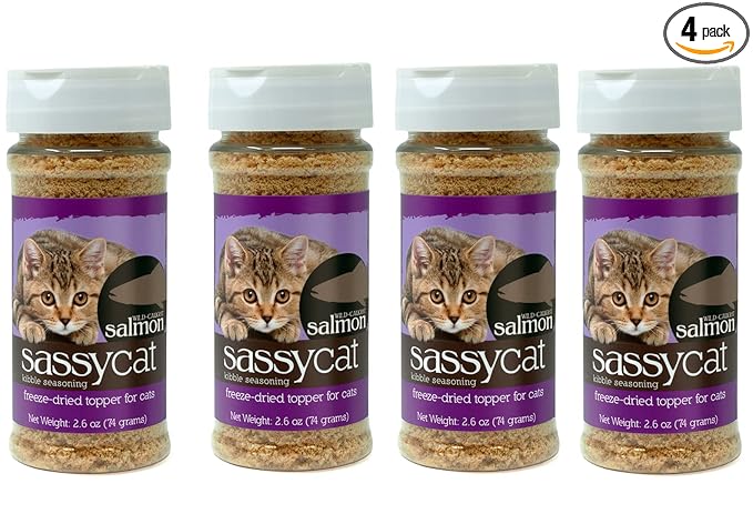 Herbsmith Sassy Cat Kibble Seasoning – Freeze Dried Salmon – Cat Food Topper for Picky Eaters [Bundle x4 Salmon] - PAWPICO