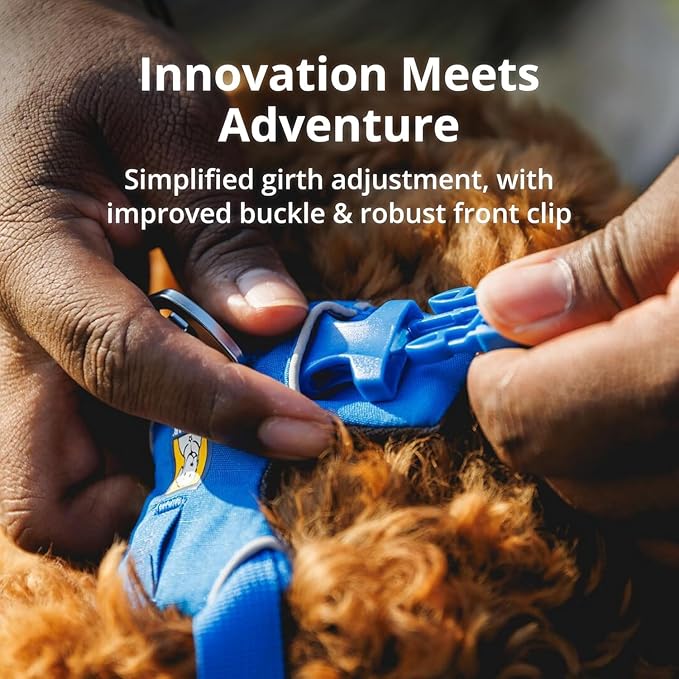 Ruffwear, Front Range Dog Harness, Reflective and Padded, No Pull Harness for Training and Everyday, Blue Pool, Medium RuffwearInc