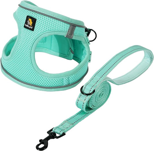 BELLA & PAL Small Dog Harness with Leash Set, Light Green, Size S, No Pull, Reflective Strips, Step-in Design BELLAPAL