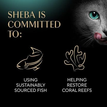 Sheba Meaty Tender Sticks Soft Cat Treats with Chicken, 0.14 oz., 5 Count (Pack of 10) Sheba