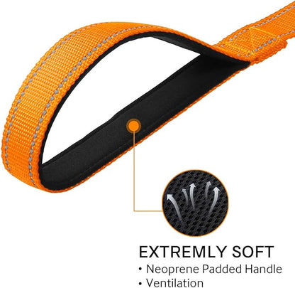 Joytale Double-Sided Reflective Dog Leash, 6 FT/5 FT/4 FT, Padded Handle Nylon Heavy Duty Leashes for Medium & Large Dogs Walking, Orange, 6FT Joytale
