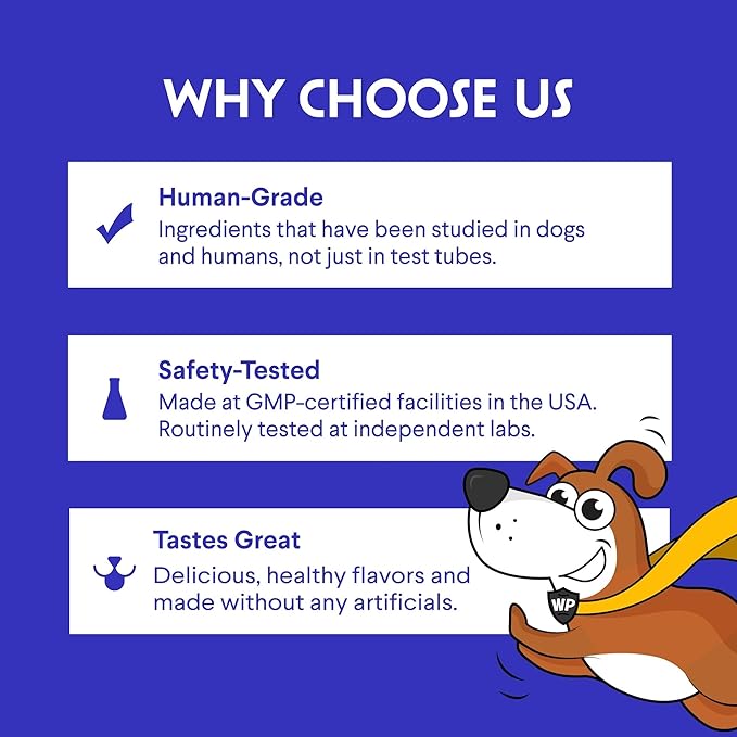 Bone Broth for Dogs – Bone Broth Powder with Organic Mushrooms & Collagen for Digestion, Immunity & Joint Support – Tasty Beef Supplement for Dogs of All Ages, Sizes & Breeds – 3.20 oz WonderPaws