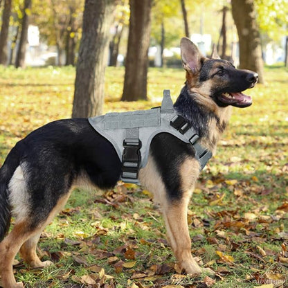 rabbitgoo Tactical Dog Harness for Large Dogs, Heavy Duty Dog Harness with Handle, No-Pull Service Dog Vest Large Breed, Adjustable Military Dog Vest Harness for Training Hunting Walking, Grey, L rabbitgoo