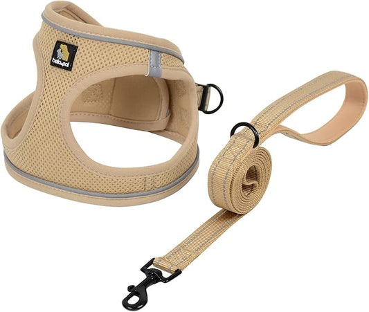 BELLA & PAL Puppy Harness with Leash Set, Dog Harness for Small Dogs No Pull, Dog Leash for Small Dogs, Step in Harness for Extra Small Dogs, Khaki Harness, L BELLAPAL