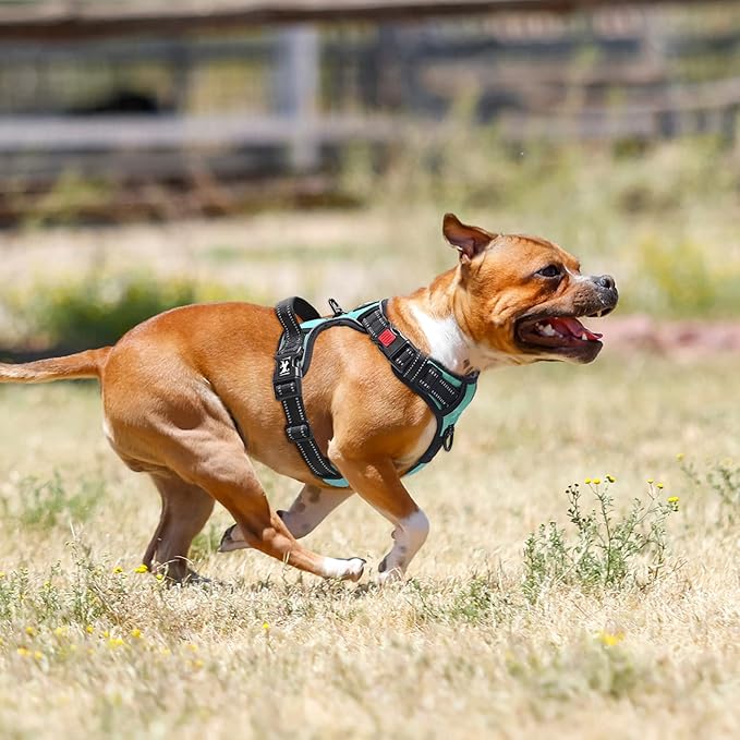 PoyPet Dog Harness No Pull, Reflective Adjustable No Choke Pet Vest with Front & Back Clips, Soft Padded and Control Training Handle for Large Dogs(Mint Blue,XL) PoyPet