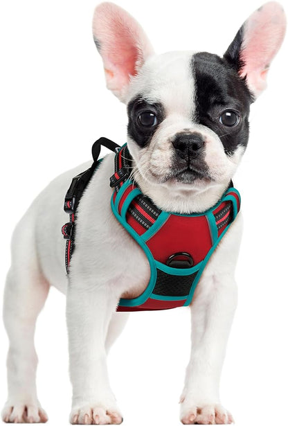 rabbitgoo Dog Harness No Pull with 2 Leash Clips, Adjustable Soft Padded, Reflective Oxford No Choke Pet Vest with Easy Control Handle for Small Dogs, Red & Teal, S rabbitgoo
