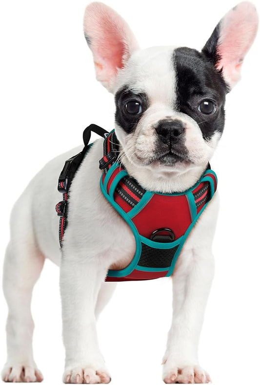 rabbitgoo Dog Harness No Pull with 2 Leash Clips, Adjustable Soft Padded, Reflective Oxford No Choke Pet Vest with Easy Control Handle for Small Dogs, Red & Teal, S rabbitgoo