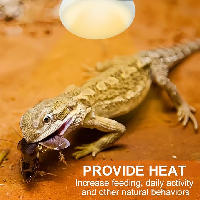 Reptile Heat Lamp Bulbs, Simulate Natural Sunlight Heat Light Bulb, 2 Pack 100W Amphibian Terrarium Basking Spot Lamp for Reptile, Bearded Dragon, Lizard, Turtle, Snake REPTIHOME