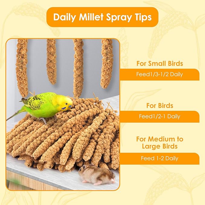 KATUMO Spray Millet for Birds, 2.0LB / 910g Natural Sun-Dried Millet Spray Bird Treats Parakeet Food for Cockatiels Conures Parrots Hamsters Finches KATUMO