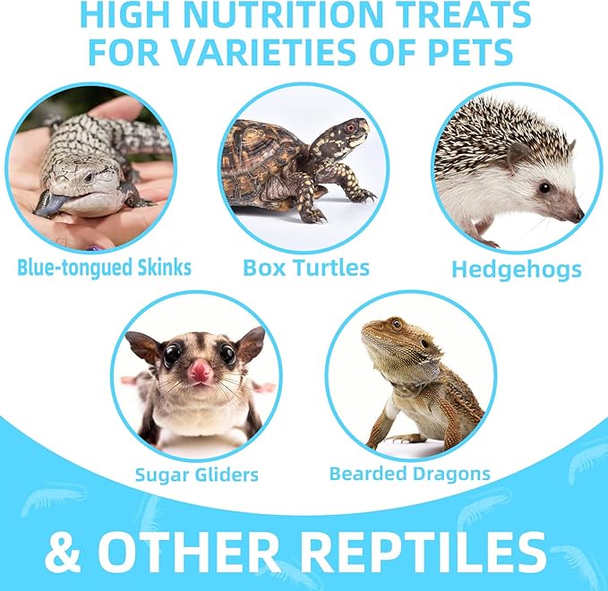 Freeze Dried Shrimp – 3.5 Oz Freeze Dried River Shrimp, Shrimp Turtle Food, Turtle Shrimp, Nutrient-Rich Shrimp Treat for Reptiles, Aquatic Turtles, Sugar Gliders, Hedgehogs, Tropical Fish Jadingfarm