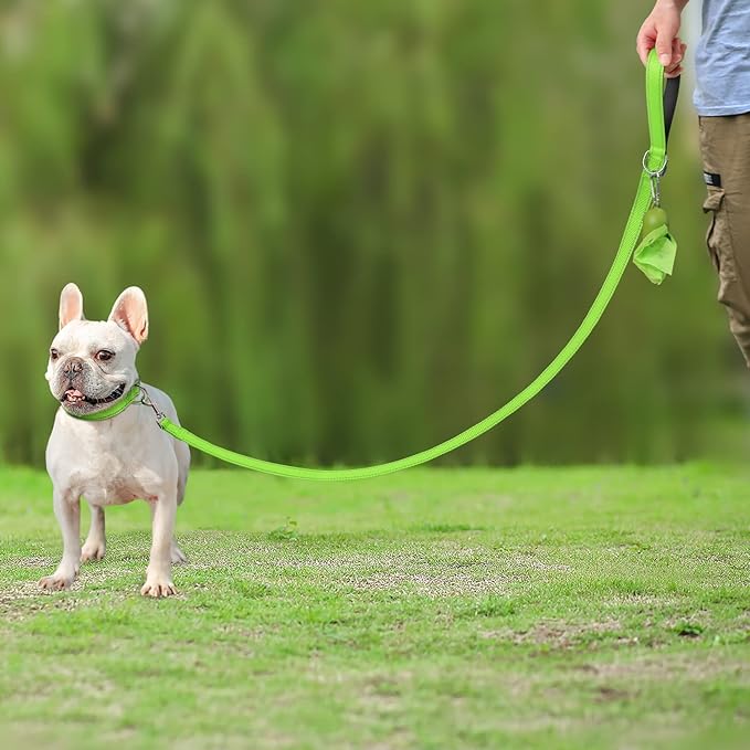 Joytale Double-Sided Reflective Dog Leash, 6 FT/5 FT/4 FT, Padded Handle Nylon Heavy Duty Leashes for Small & Medium Dogs Walking, Green, 6FT Joytale