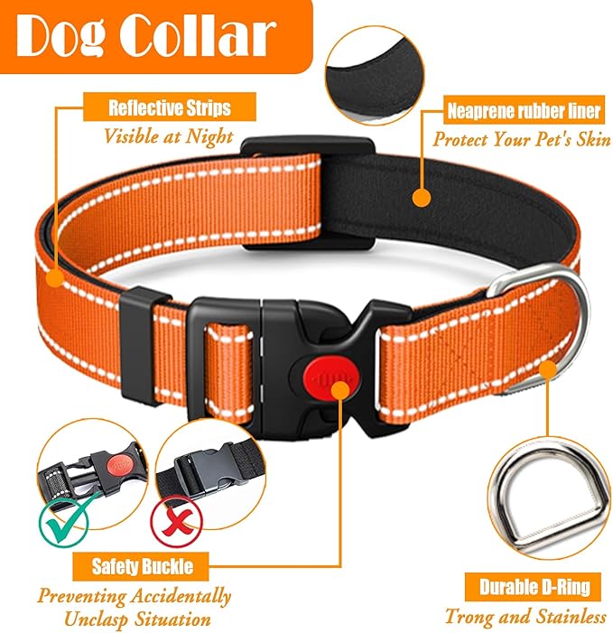 No Pull Dog Harness, Collar & Leash Set | Includes Dog Seat Belt, Collapsible Bowls & Poop Bag Dispenser. Ideal for Training, Walking, Hiking. Fits Small to Large Dogs(Orange-L) Lovebegetslove
