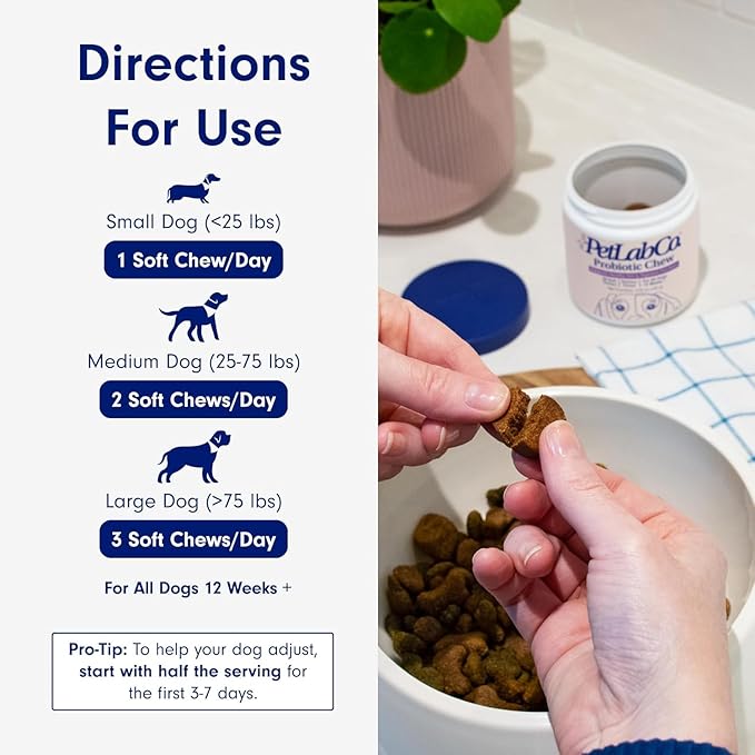 PetLab Co. Probiotics for Dogs, Support Gut Health, Occasional Diarrhea, Digestive Health & Seasonal Allergies - Pork Flavor - 30 Soft Chews - Packaging May Vary PetlabCo