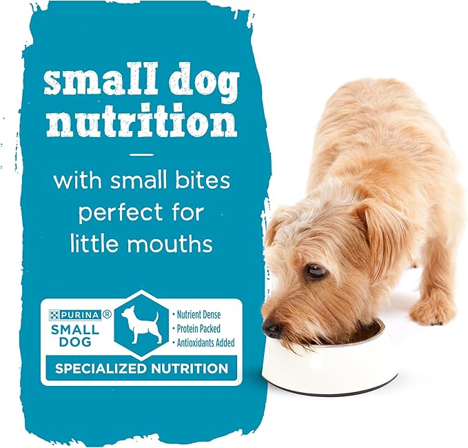 Purina Beneful Small Breed Wet Dog Food With Gravy, IncrediBites with Real Salmon - (8 Packs of 3) 3 oz. Cans - PAWPICO