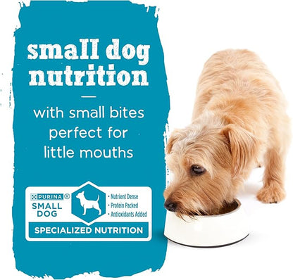 Purina Beneful Small Breed Wet Dog Food With Gravy, IncrediBites with Real Salmon - (8 Packs of 3) 3 oz. Cans - PAWPICO