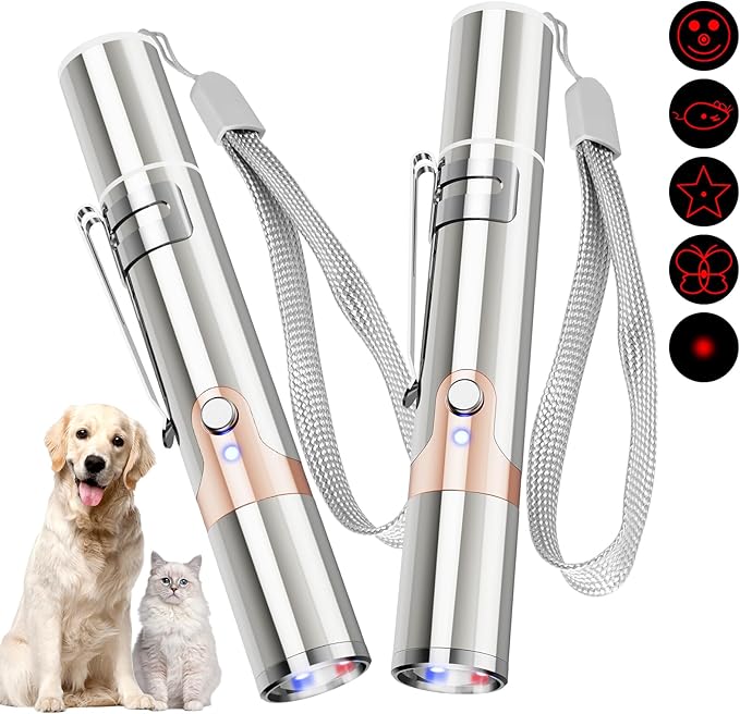 Cat Toy, 2 Pieces USB Rechargeable, Long Range 5 Modes, Interactive Kitten Toy for Indoor Cat and Dog - PAWPICO