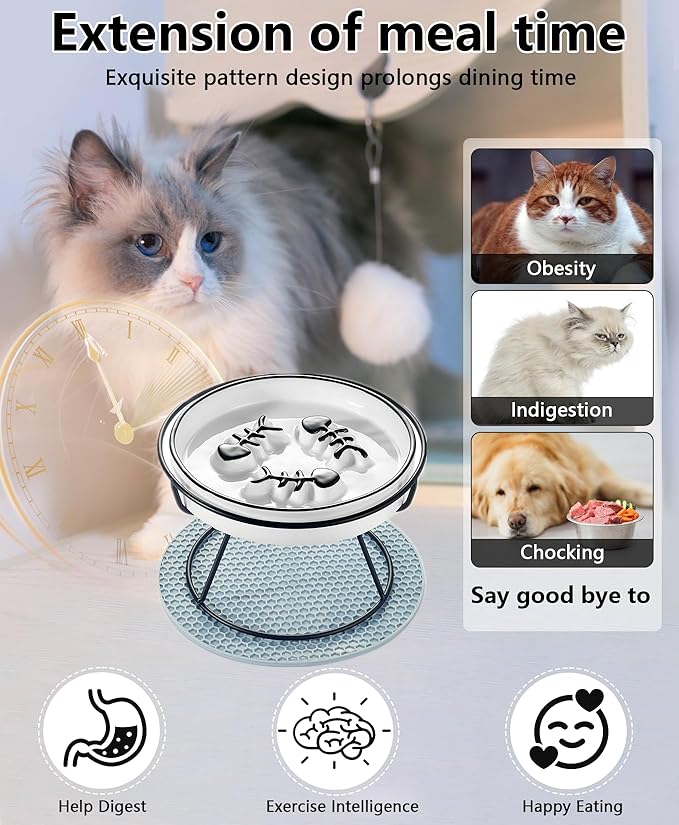 Elevated Cat Slow Feeder Bowls,Whisker Friendly Cat Bowl, Ceramic Raised Slow Feeder Bowl, Anti Vomit Promotes Digestion Slow Feeder Bowls for Dry and Wet Food - PAWPICO