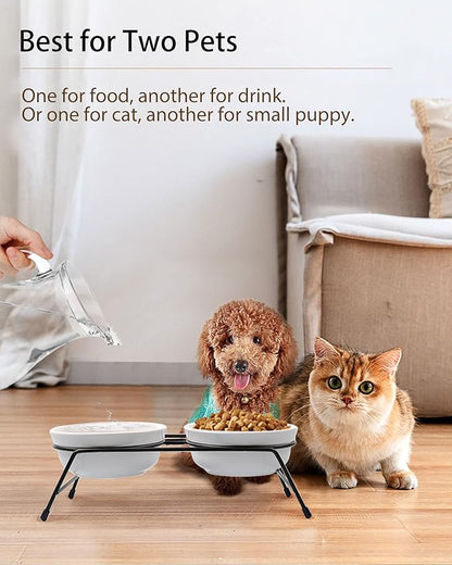 Cat Bowls, Upgraded 13 oz Ceramic Elevated Cat Food Bowls for Food and Water, Raised 2 Cat Dishes with Stainless Steel Stand Non-Slip and Anti-Rust, for Indoor Cats and Small Dog Bowl, Dishwasher Safe - PAWPICO
