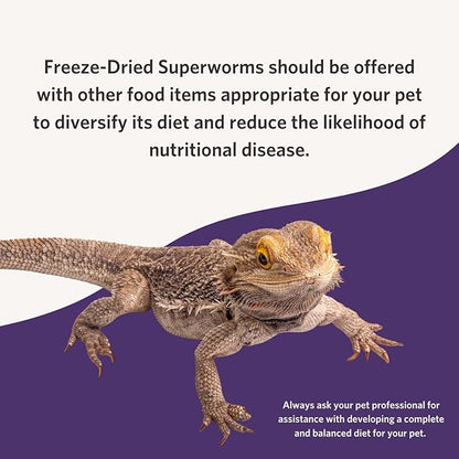 Fluker's Freeze Dried Superworms, for Reptiles, Ideal for Lizards, Reptiles, Birds, Fish, Hedgehogs, 1.7 oz Flukers
