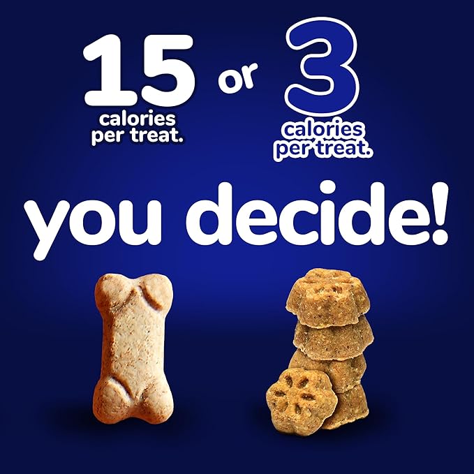 Fruitables Skinny Mini Dog Treats – Healthy Treats for Dogs – Low Calorie Training Treats – Free of Wheat, Corn and Soy – Pumpkin and Berry – 12 Ounces - PAWPICO