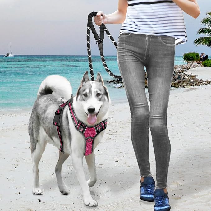 BARKBAY No Pull Dog Harness Large Reflective Dog Harness with Front Clip and Easy Control Handle for Walking Training Running with ID tag Pocket(Pink/Black,M) BARKBAY