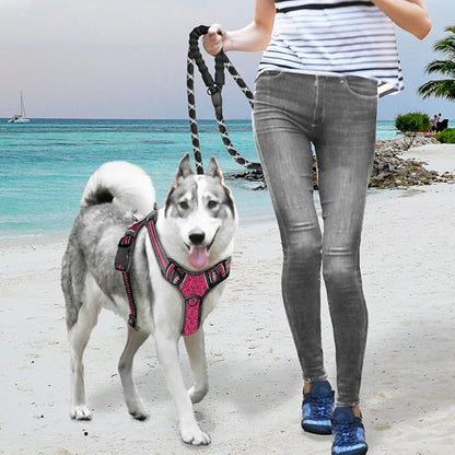 BARKBAY No Pull Dog Harness Large Reflective Dog Harness with Front Clip and Easy Control Handle for Walking Training Running with ID tag Pocket(Pink/Black,XL) BARKBAY