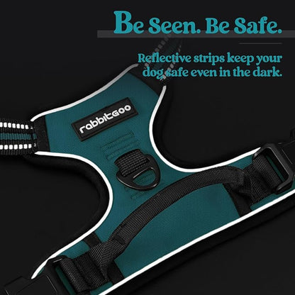 rabbitgoo Dog Harness No Pull with 2 Leash Clips, Adjustable Soft Padded, Reflective Oxford No Choke Pet Vest with Easy Control Handle for Medium Sized Dogs, Teal, M rabbitgoo
