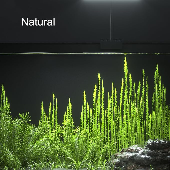 Carefree Fish Aquarium LED Light USB 5V RGBW 5730 Timmer 5~10Gal Fish Tank Clip Light for Rimless Tank 10 Brightness Levels 8W with USB Port (Include Power Adapter) Bewatermyfriend