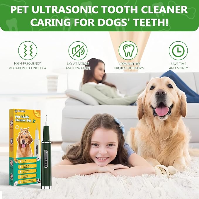 Dog Plaque Remover for Teeth - Pet Ultrasonic Tooth Cleaner, 6 Adjustable Modes Dog Teeth Cldaning Kit with LED Light, Cats and Dogs Tartar Remover for Teeth (Green, Large) PAWPICO