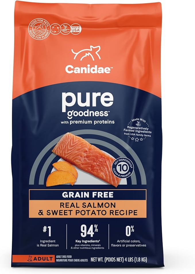 Canidae Pure Real Salmon & Sweet Potato Recipe Adult Dry Dog 4 LB (packaging may vary) - PAWPICO