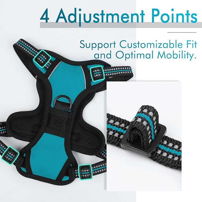 rabbitgoo Dog Harness, No-Pull Pet Harness with 2 Leash Clips, Adjustable Soft Padded Dog Vest, Reflective No-Choke Pet Oxford Vest with Easy Control Handle for Large Dogs, Teal, X-Small - PAWPICO