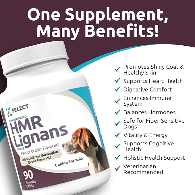 K9 Select HMR Lignans for Dogs - Enhancer for Overall Wellness, Immune Support for Dogs - Norway Spruce Extract Holistic Dog Health - Digestion, & Coat Care - Peanut Butter, 20mg, 90 Tablets LignansForLife