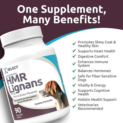 K9 Select HMR Lignans for Dogs - Enhancer for Overall Wellness, Immune Support for Dogs - Norway Spruce Extract Holistic Dog Health - Digestion, & Coat Care - Peanut Butter, 20mg, 90 Tablets LignansForLife