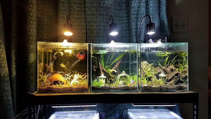 LED Aquarium Light - Freshwater Fish Tank Light Vivarium Terrarium Spotlight 3 Colors 3000K 4000K 6000K Cool Warm White for Planted Fish Tank (3 Colors) NILIPAL