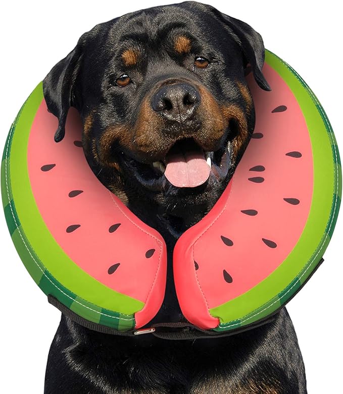 Dog Cone Collar for Small Medium Large Dogs for After Surgery, Pet Inflatable Neck Donut Collar Soft Protective Recovery Cone for Dogs and Cats - Alternative E Collar Does not Block Vision - Red,XL MIDOG