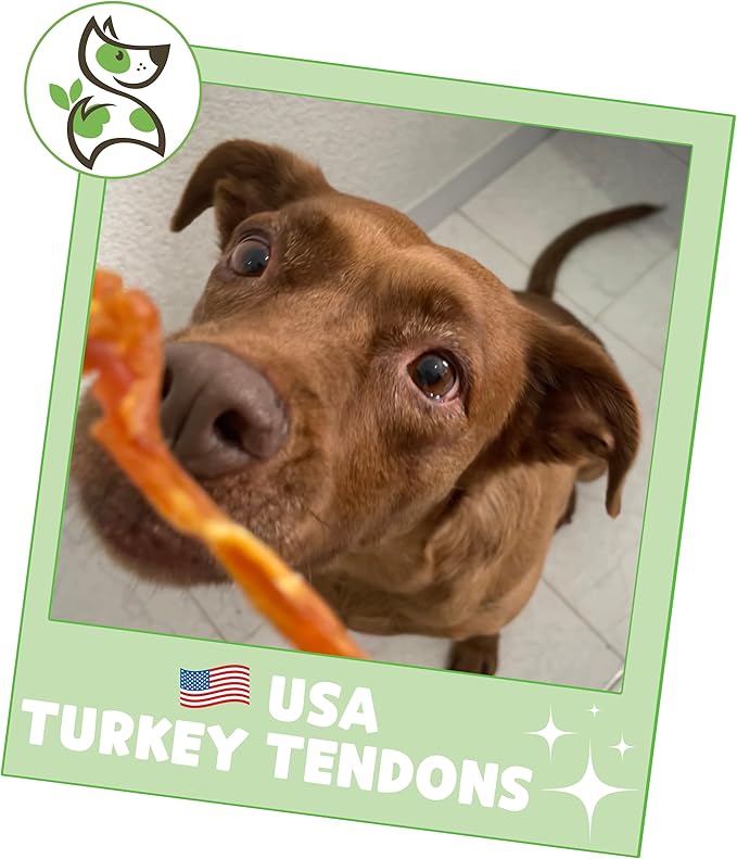 Nature Gnaws USA Turkey Tendons for Dogs (1Lb) - Delicious Grain Free Reward Snack for Small, Medium & Large Breeds - Premium Natural Dog Chew Treats - PAWPICO
