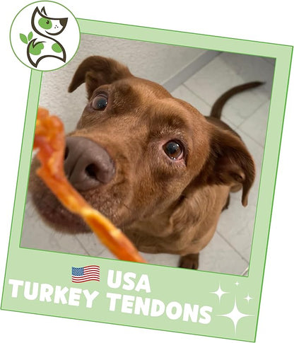 Nature Gnaws USA Turkey Tendons for Dogs (4oz) - Delicious Grain Free Reward Snack for Small, Medium & Large Breeds - Premium Natural Dog Chew Treats - PAWPICO