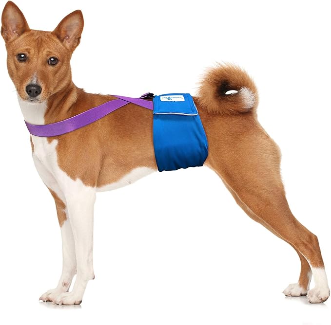Paw Inspired Dog Diaper Suspenders with Velcro Fasteners | Stretchy Adjustable Suspenders for Female and Male Disposable and Washable Diapers | Fits Small, Medium and Large Size Pets (S/M, Purple) - PAWPICO