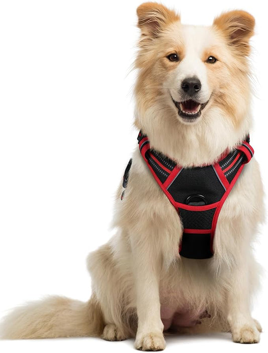 rabbitgoo Dog Harness No Pull with 2 Leash Clips, Adjustable Soft Padded, Reflective Oxford No Choke Pet Vest with Easy Control Handle for Medium Sized Dogs, Black & Red, M rabbitgoo