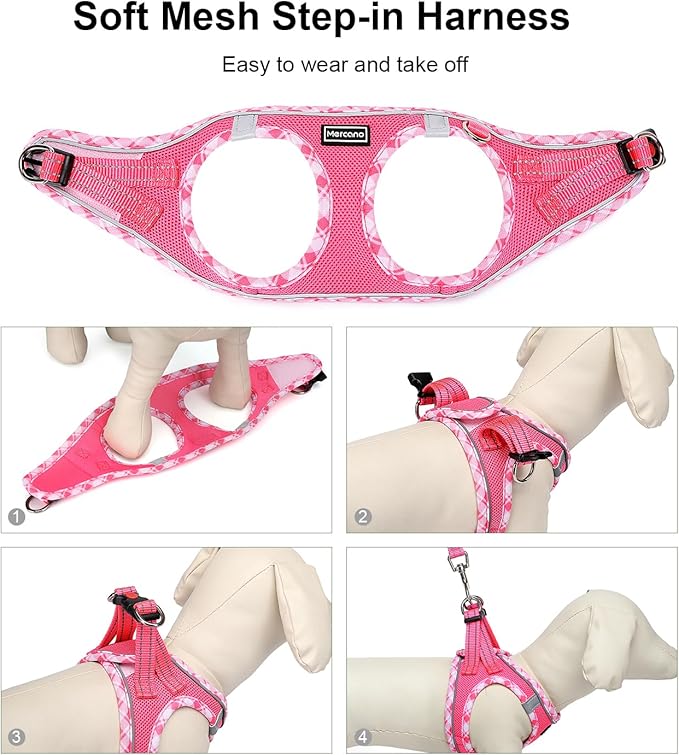 Mercano Soft Mesh Dog Harness and Leash Set, No-Chock Step-in Reflective Breathable Lightweight Easy Walk Vest Harnesses with Safety Buckle for Small Medium Dogs, Cats (M, Fuchsia) PAWPICO