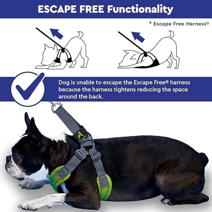 Gooby Sporty Escape Free Harness, Medium - Black, Neoprene, No-Pull, 4-Point Adjustment for Small Dogs up to 35 lbs Gooby