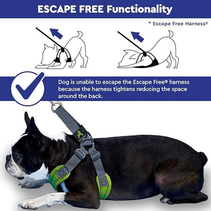 Gooby Sporty Escape Free Harness, Medium - Black, Neoprene, No-Pull, 4-Point Adjustment for Small Dogs up to 35 lbs Gooby