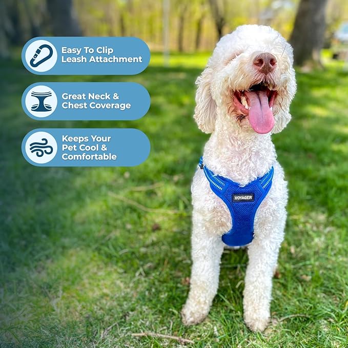Best Pet Supplies Voyager Adjustable Dog Harness Leash Set with Reflective Stripes for Walking Heavy-Duty Full Body No Pull Vest with Leash D-Ring, Breathable All-Weather - Harness (Royal Blue), S BestPetSuppliesLLC