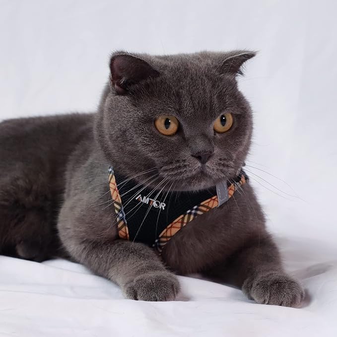 AMTOR Small Dog Harness with Leash Set, No Escape Easy Walk Puppy Harnesses for Training Walking, Step-in Reflective Soft Dogs Vest for XS S Medium Extra-Small Large Sized Dog(BlackYellow,XXS) AMTOR