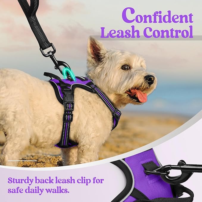 rabbitgoo Dog Harness No Pull with 2 Leash Clips, Adjustable Soft Padded, Reflective Oxford No Choke Pet Vest with Easy Control Handle for Puppy, Purple,XS rabbitgoo