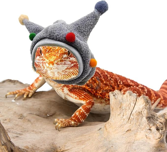 Bearded Dragon Hat - Winter Warm Lizard Cap with Horns & Pom Pom Ball Fun Halloween Outfit Bull Costume Elastic Headwear Accessories Anxiety Relief Ear Muffs for Reptile Fancy Rat Ferret (Grey) SEZDEKI