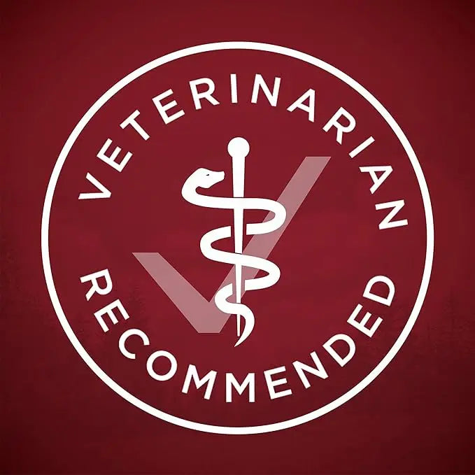 Purina ONE High Protein Wet Dog Food True Instinct Tender Cuts in Dog Food Gravy With Real Beef and Bison - (Pack of 12) 13 oz. Cans - PAWPICO