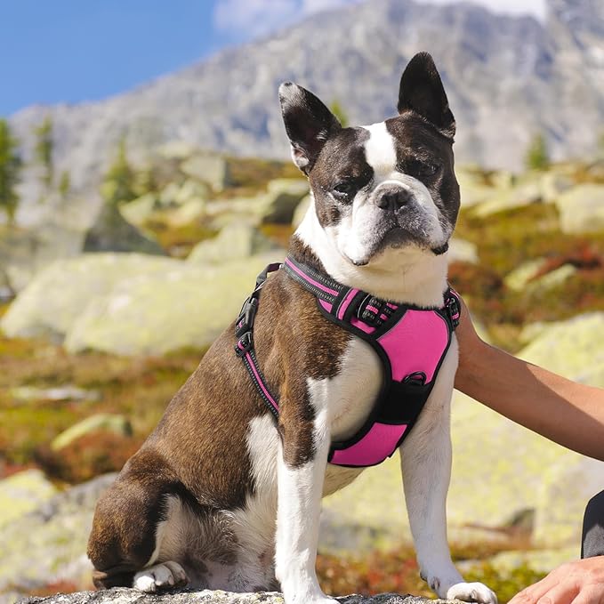 Eagloo Dog Harness Medium Sized Dog, No Pull Service Vest with Reflective Strips and Control Handle, Adjustable and Comfortable for Easy Walking, No Choke Pet Harness with 2 Metal Rings, Rose Red, M GoExplorewithEagloo