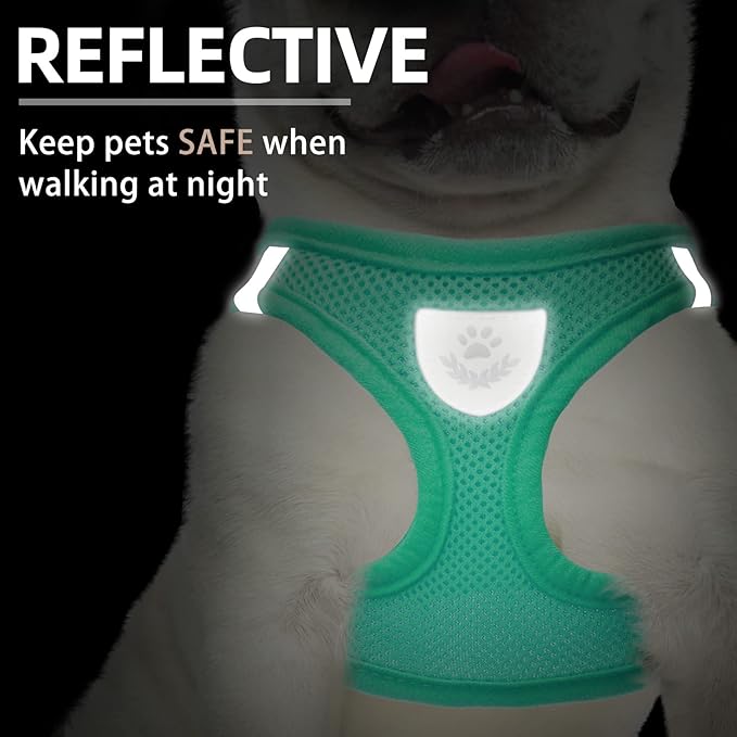 PUPTECK Adjustable Dog Harness Collar and Leash Set Step in No Pull Pet Harness for Small Medium Dogs Puppy and Cats Outdoor Walking Running, Soft Mesh Padded Reflective Vest Harnesses, Solid Green XS PUPTECK