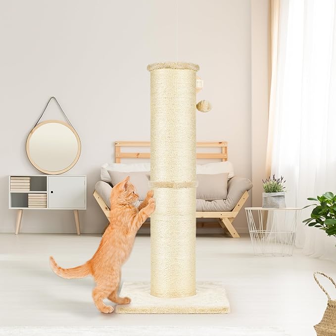 PAWSCRAT Cat Scratching Post 32 Inch High, 5.5 Inch Large Diameter Natural Sisal Cat Scratch Post, Scratch-Resistant and Durable Tall Cat Scratcher for Indoor Cats, Protect Your Furniture, Beige - PAWPICO